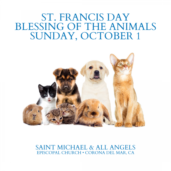 St. Francis Day Blessing of the Animals